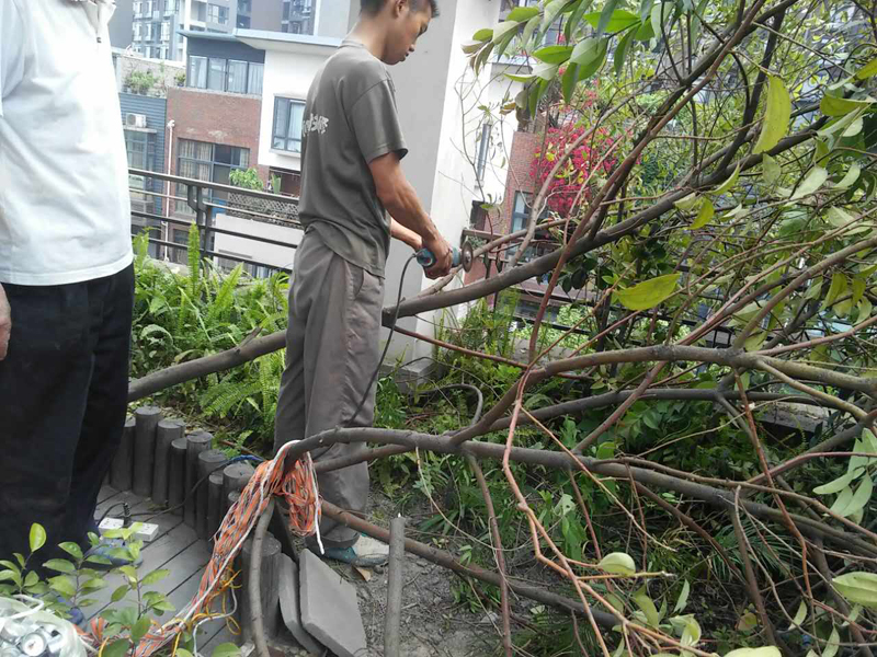 屋頂花園怎么裝修，樓頂花園裝修注意事